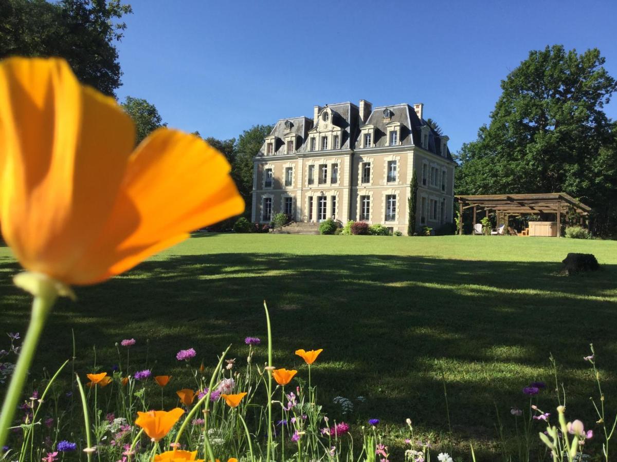 Chateau Des Essards Avec Piscine Et Jacuzzi Langeais Exterior photo